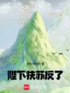 陛下,扶苏反了!
