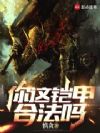 你这铠甲合法吗